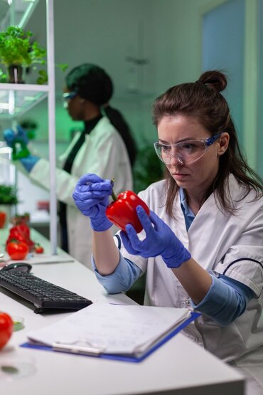 LEA Food Labs